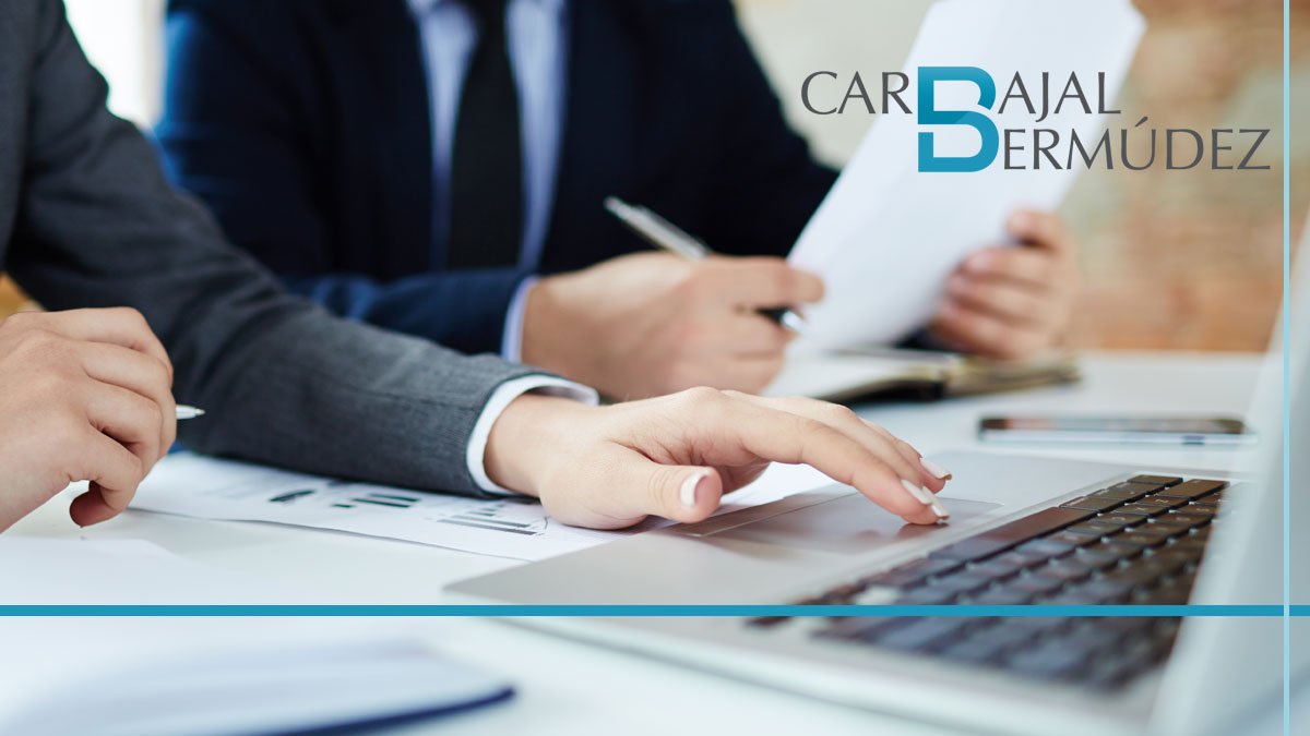 Proveedores de servicios especializados